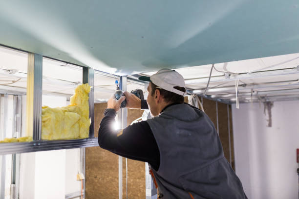 Best Eco-Friendly Insulation in Hwatha, IA